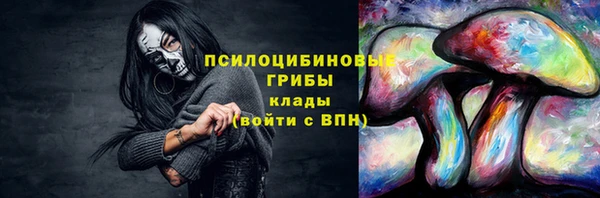 ECSTASY Волоколамск